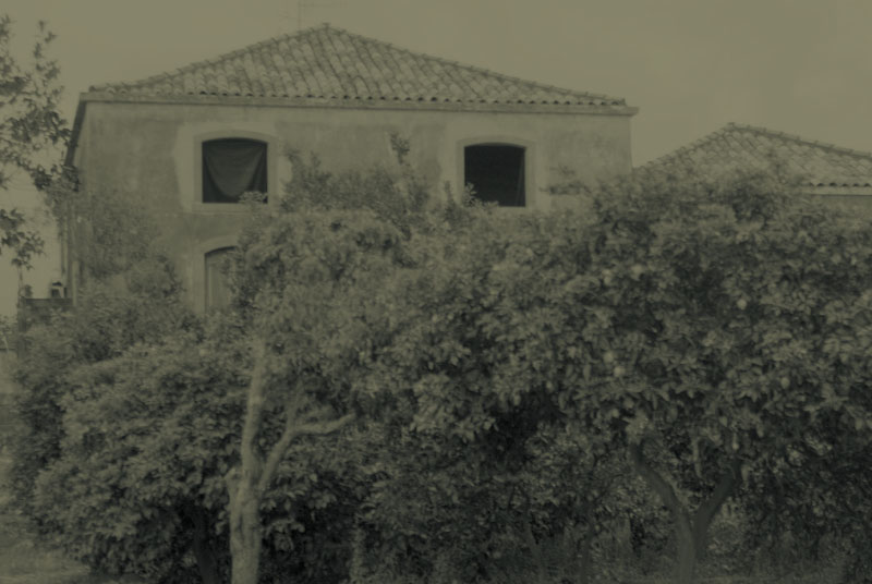 Distant Memories
