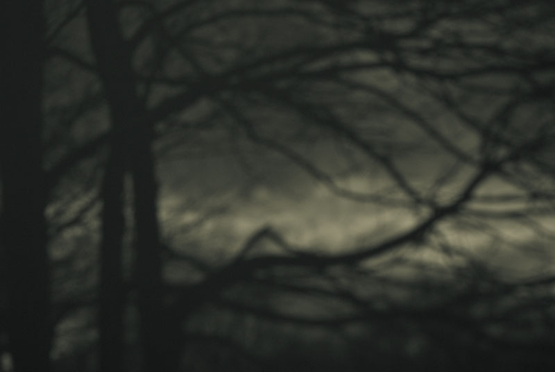 Distant Memories | branchescandidate pour int&eacute;grer la s&eacute;rie