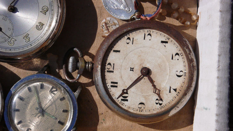 Montres aux puces (original)