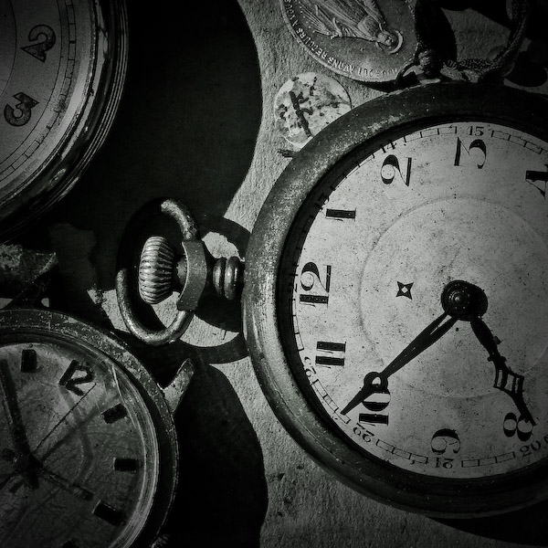 Montres aux puces (apr&egrave;s)