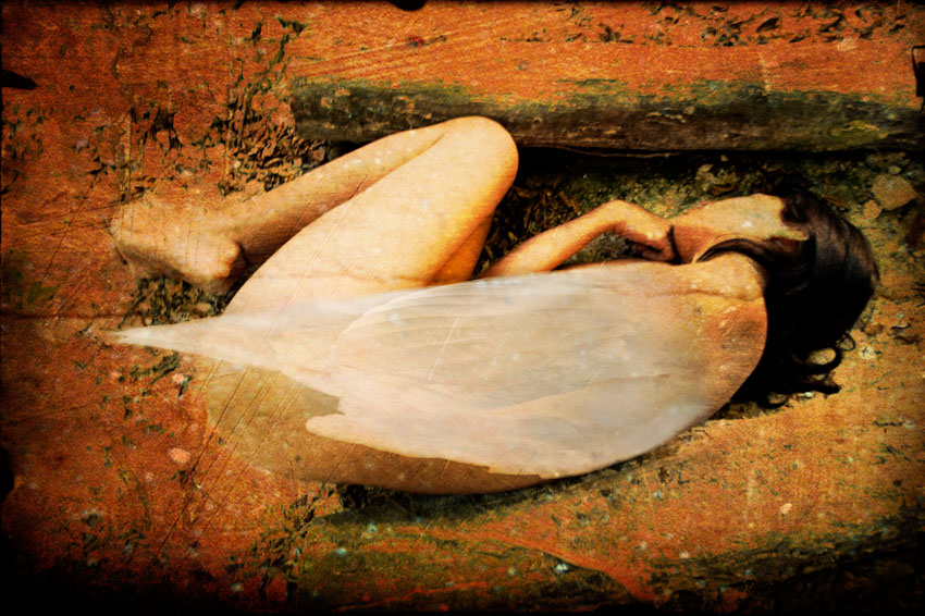 Fallen angel