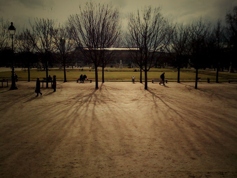 Tuileries (arbres)