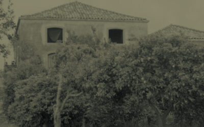 Distant Memories