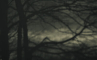 Distant Memories | branchescandidate pour int&eacute;grer la s&eacute;rie