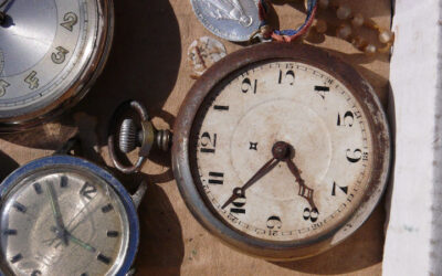 Montres aux puces (original)
