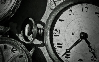 Montres aux puces (apr&egrave;s)