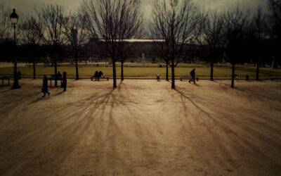 Tuileries (arbres)